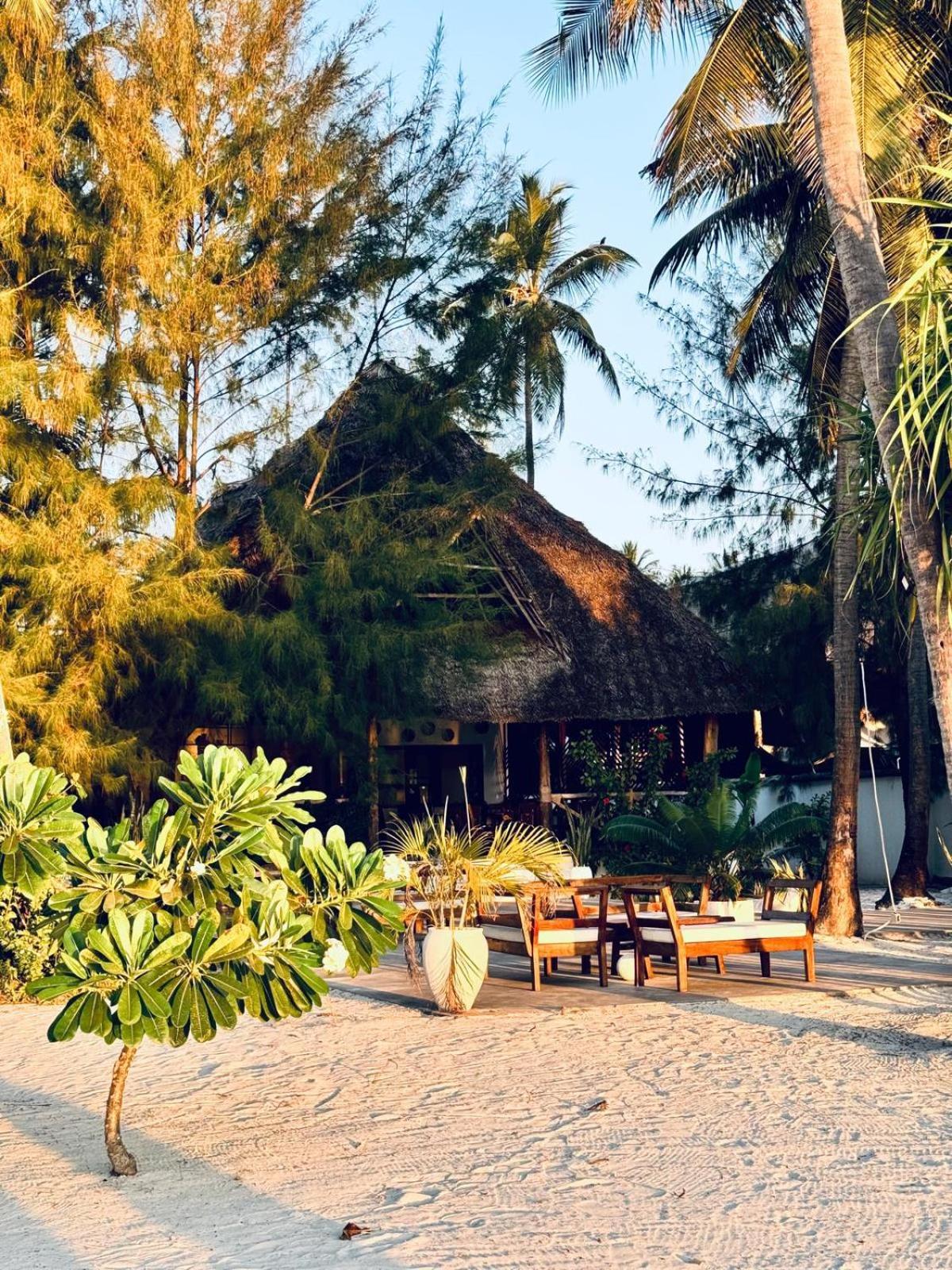 Bahati Sunset Bungalows Michamvi Extérieur photo