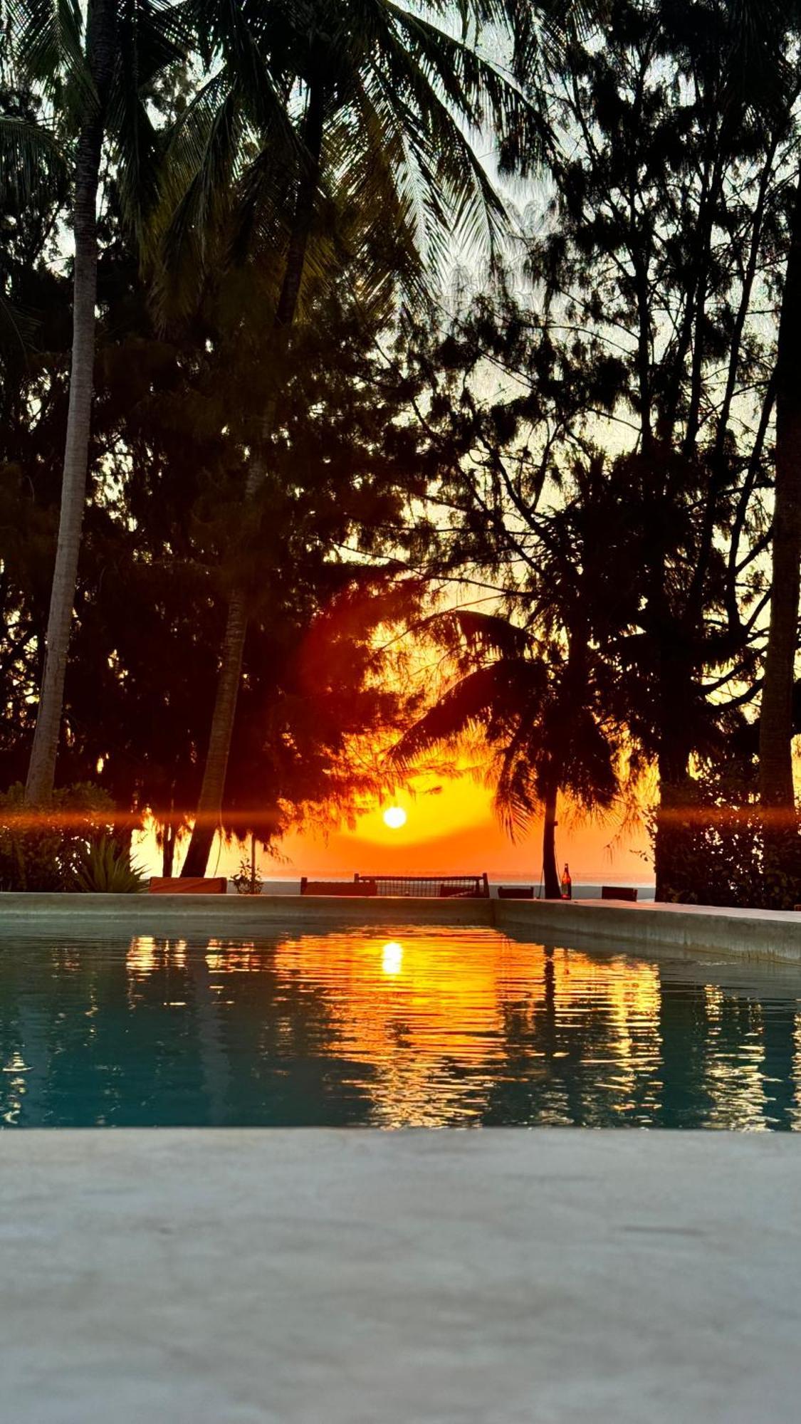 Bahati Sunset Bungalows Michamvi Extérieur photo